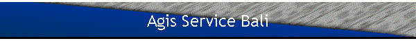 Agis Service Bali