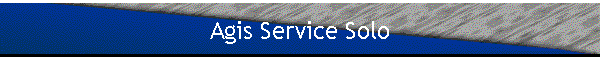 Agis Service Solo